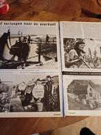 Artikel over het eiland Tiengemeten 1954, Verzamelen, Ophalen of Verzenden, 1940 tot 1960, Knipsel(s)