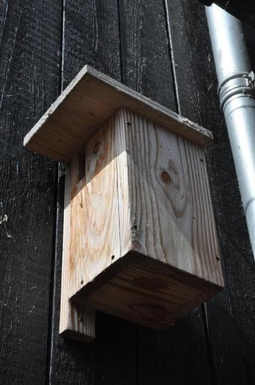 boomkruiper beschikbaar voor biedingen