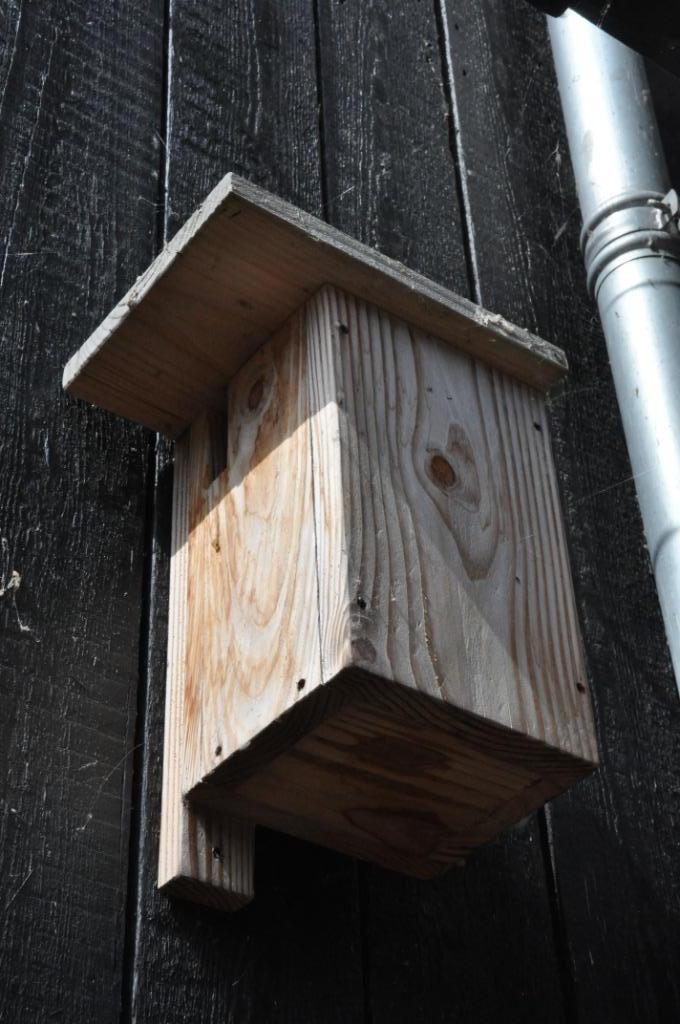 boomkruiper, Tuin en Terras, Vogelhuisjes en Vogelbaden, Nieuw, Ophalen of Verzenden