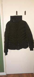 Donkergroene winterjas dames L/XL - weinig gedragen, Kleding | Dames, Jassen | Winter, Maat 46/48 (XL) of groter, Ophalen of Verzenden