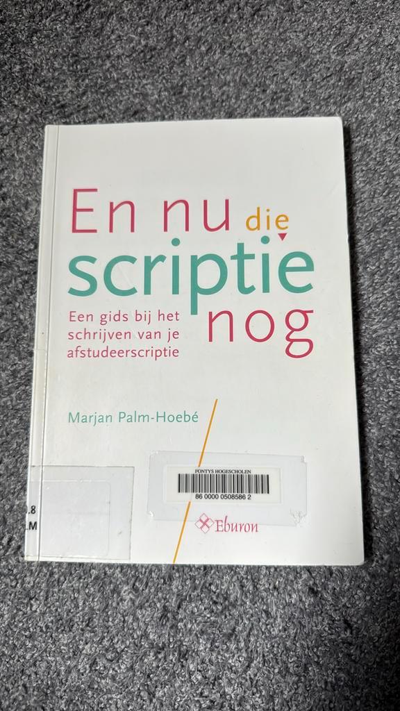 Marjan Palm-Hoebé - En nu die scriptie nog, Boeken, Schoolboeken, Zo goed als nieuw, Verzenden