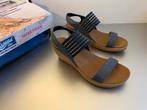 Skechers sandalen sleehak blauw Maat 38, Kleding | Dames, Schoenen, Skechers, Blauw, Nieuw, Sandalen of Muiltjes
