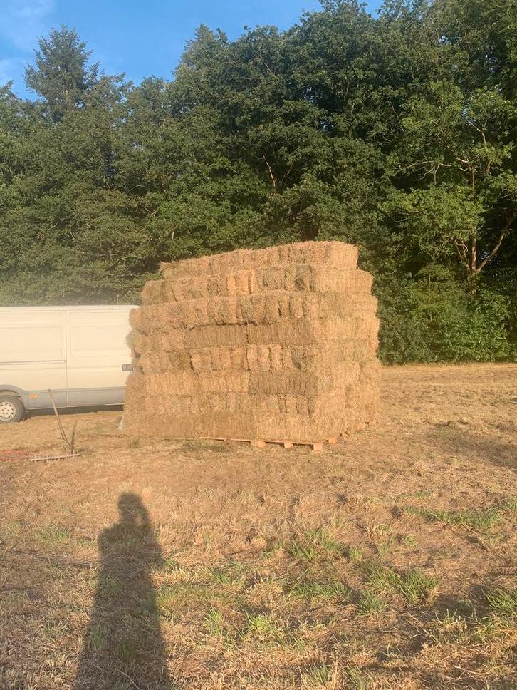 Hooi, Dieren en Toebehoren, Dierenvoeding, Vee, Ophalen