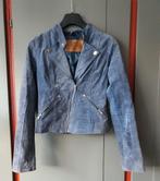 Goosecraft Suède Bikerjasje XS – Lichtblauw, Echt Leer, Ophalen of Verzenden, Gedragen, Maat 34 (XS) of kleiner, Blauw
