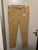 Dames broek moscow, Ophalen of Verzenden, Nieuw, Maat 46/48 (XL) of groter