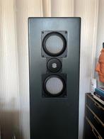 Actieve luidspreker Accuton / Thiel-chassis High End, Overige merken, Gebruikt, Ophalen of Verzenden, 120 watt of meer
