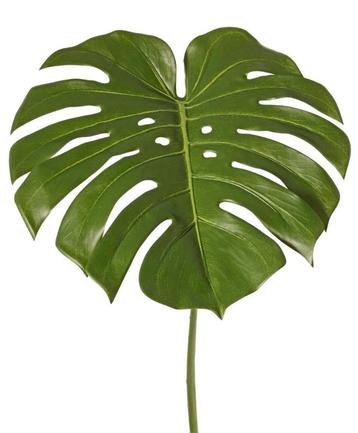 GATENPLANT BLAD - KUNST (MONSTERA) beschikbaar voor biedingen
