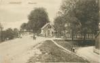 (388-156-051) Hoogvliet Hoogedijk, Verzamelen, Ansichtkaarten | Nederland, Verzenden, Gelderland