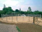 Longeercirkel, Texas paneel, Panelen, Vangkooi, Box, Weidegang, Sales@veldomheiningen.nl, Schaijk, 4 paarden of pony's of meer