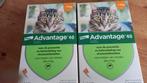 Vlooiendruppels. Advantage 40. Katten😺, Ophalen of Verzenden, Nieuw