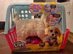 Little Live Pets, Verzenden, Nieuw, Jongen of Meisje