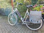 Gazelle Chamonix damesfiets (56cm), Ophalen, Versnellingen, Gazelle, 53 tot 56 cm