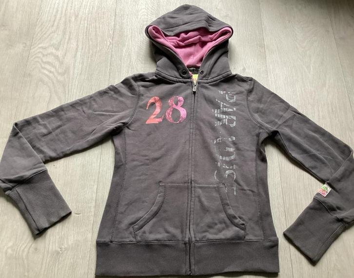 Grijze hoodie / vest met rits Maat M van O bleu, Kleding | Dames, Truien en Vesten, Gedragen, Maat 38/40 (M), Grijs, Ophalen of Verzenden