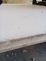 Multiplex plaat B-keus 15mm opruiming 250x122cm  2 stuks, Doe-het-zelf en Verbouw, Platen en Panelen, Ophalen, Zo goed als nieuw