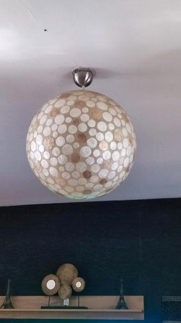 2 mooie plafonlampen 