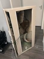 Terrarium, Dieren en Toebehoren, Ophalen, Gebruikt