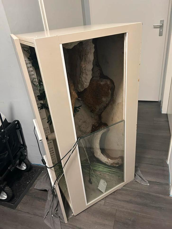 Terrarium, Dieren en Toebehoren, Reptielen en Amfibieën | Toebehoren, Gebruikt, Ophalen