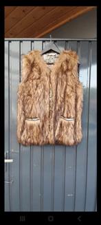 Vest Isla Ibiza Bonita maat S, Ophalen, Bruin, Zo goed als nieuw, Isla Ibiza