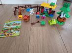 DUPLO bos dieren 10582, Kinderen en Baby's, Speelgoed | Duplo en Lego, Ophalen, Zo goed als nieuw, Complete set, Duplo