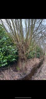 Haardhout, Minder dan 3 m³, Ophalen of Verzenden