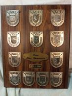 Plaquette Friese Elfstedentocht, Verzamelen, Ophalen of Verzenden, Zo goed als nieuw, Auto's