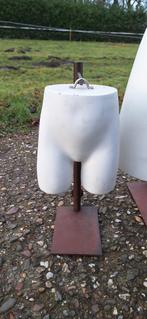 3 x heren buste, torso als model of als kunstproject., Ophalen, ., Paspop, Zo goed als nieuw