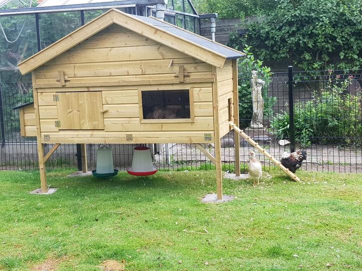 kippenhokken, Dieren en Toebehoren, Overige Dieren-accessoires, Nieuw, Ophalen of Verzenden