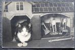 Fotokaart Poes heeft plekje gevonden in het poppenhuis, 1927, Gelopen, 1920 tot 1940, Verzenden, Hond of Kat