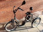 Electrische driewielfiets Torino als nieuw!!, Fietsen en Brommers, Fietsen | Driewielfietsen, Ophalen, Zo goed als nieuw, Trigo