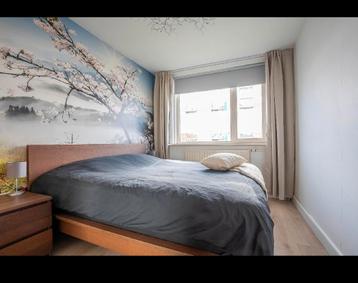 IKEA MALM bed + lattenbodems (zonder matras etc)