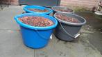 Aquarium bodemgrind, Dieren en Toebehoren, Vissen | Aquaria en Toebehoren, Ophalen, Zo goed als nieuw, Plant(en), Steen of Hout