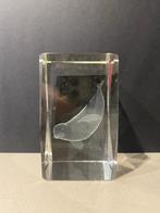 Glazenblokje met zeehond 8cmx5cmx5cm, Ophalen