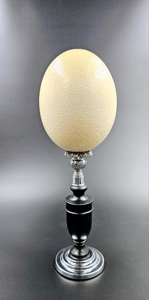 Struisvogel ei op zwart houten standaard. Uniek., Verzamelen, Dierenverzamelingen, Zo goed als nieuw, Beeldje of Figuurtje, Ophalen of Verzenden