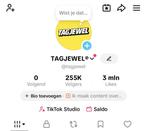 TikTok Account 255K Volgers, Eén persoon