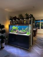 Oase Highline Optiwhite 400, Dieren en Toebehoren, Ophalen, Gebruikt, Gevuld zoetwateraquarium