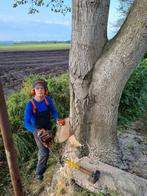 Bomen zagen/vellen, Minder dan 3 m³, Ophalen, Overige houtsoorten, Takken