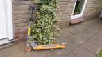 Action Kinderstep, Fietsen en Brommers, Steps, Ophalen, Gebruikt, Gewone step, Action