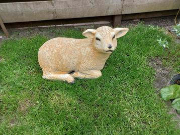 Tuinbeeld schaap  beschikbaar voor biedingen