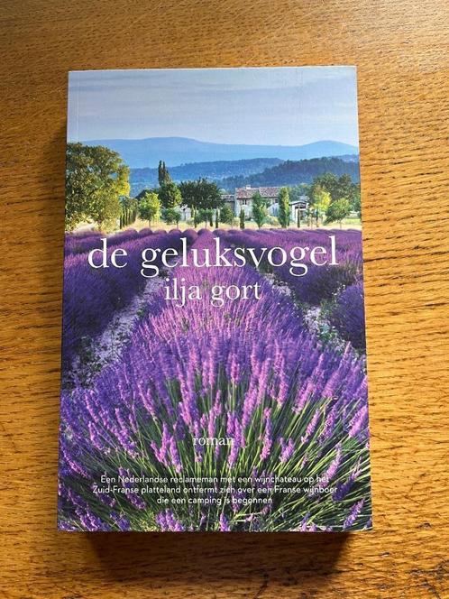 De geluksvogel van Ilja Gort, Boeken, Romans, Zo goed als nieuw, Nederland, Ophalen