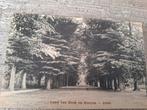 7 oude ansichtkaarten van Zeist, Verzamelen, Ansichtkaarten | Nederland, Ophalen of Verzenden, Voor 1920, Utrecht