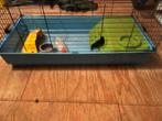 Konijnenhok, Dieren en Toebehoren, Knaagdieren en Konijnen | Hokken en Kooien, Ophalen, Gebruikt, 60 tot 90 cm, Hok