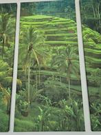 Sawa 3 luik foto canvas, Ophalen, Zo goed als nieuw