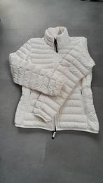 parajumpers maat M, Maat 38/40 (M), Wit, Nieuw, Parajumpers