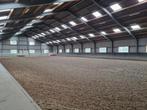 Paardenpension, Weidegang