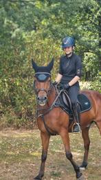 Betrouwbare allround New Forest D/E pony, Dieren en Toebehoren, Springpaard, Minder dan 160 cm, Ruin, L
