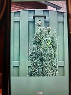 Nestkastje of vogelhuisje, Ophalen of Verzenden, Nieuw