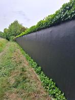 zwart doek voor tegen een hekwerk., Tuin en Terras, Ophalen, Kunststof, 1 tot 2 meter, 6 meter of meer