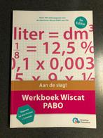 Wiscat oefenboek Pabo, Boeken, Studieboeken en Cursussen, Ophalen of Verzenden, Beta, Zo goed als nieuw, HBO