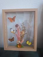 Lijst met vlinders, Ophalen of Verzenden, Minder dan 50 cm, Schilderij, Minder dan 50 cm