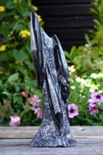 Orthoceras sculptuur (nr. 13), Verzamelen, Ophalen of Verzenden, Mineraal